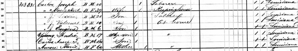 1880 Census, Assumption Parish